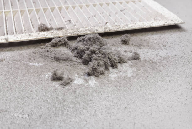 Best Air Duct Cleaning Near Me  in Fort Myers, FL