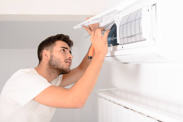 Best Air Duct Sanitizing Services  in Fort Myers, FL